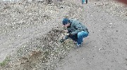 Субботник 23.04.2018